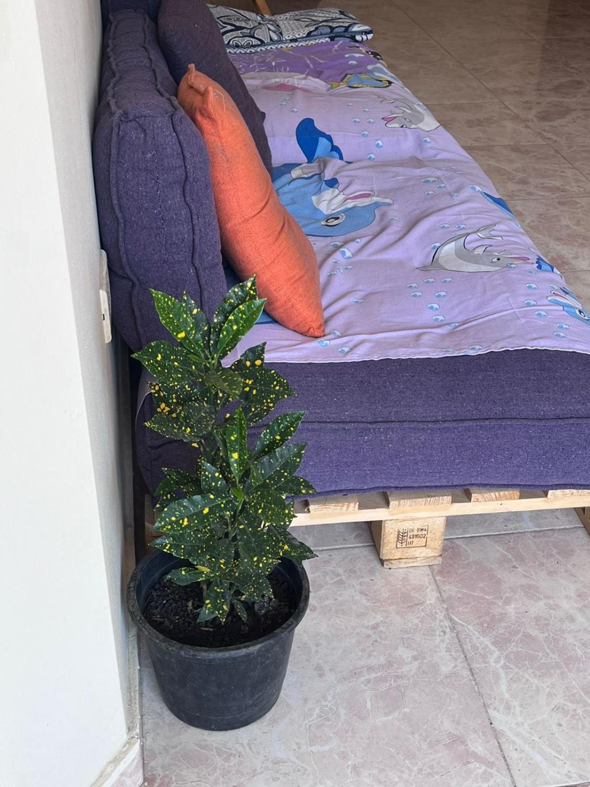 Bed In Raheem Guest House More Than Accommodation El El Cairo Exterior foto